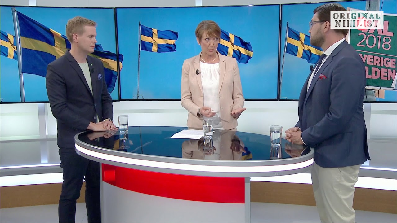 Jimmie &Aring;kesson vs Gustav Fridolin (MP) - Om Sverigebilden