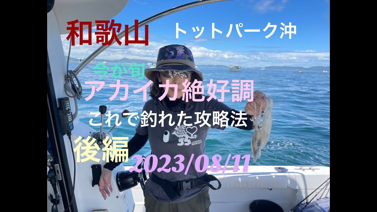 BM艇大阪湾～和歌山2023/08/11ヒラメ、オオアジ、シオ、太刀魚。アカイカを釣りに。 