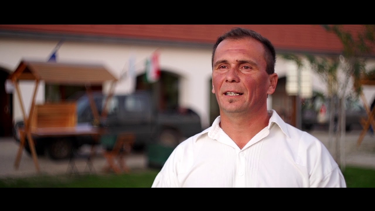Magyar szürke szarvasmarha bikavásár (2017) - Sarród