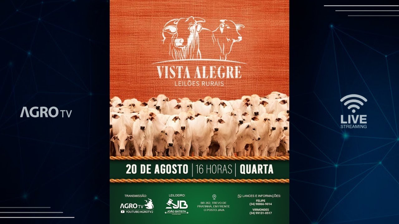 VISTA ALEGRE LEILÕES