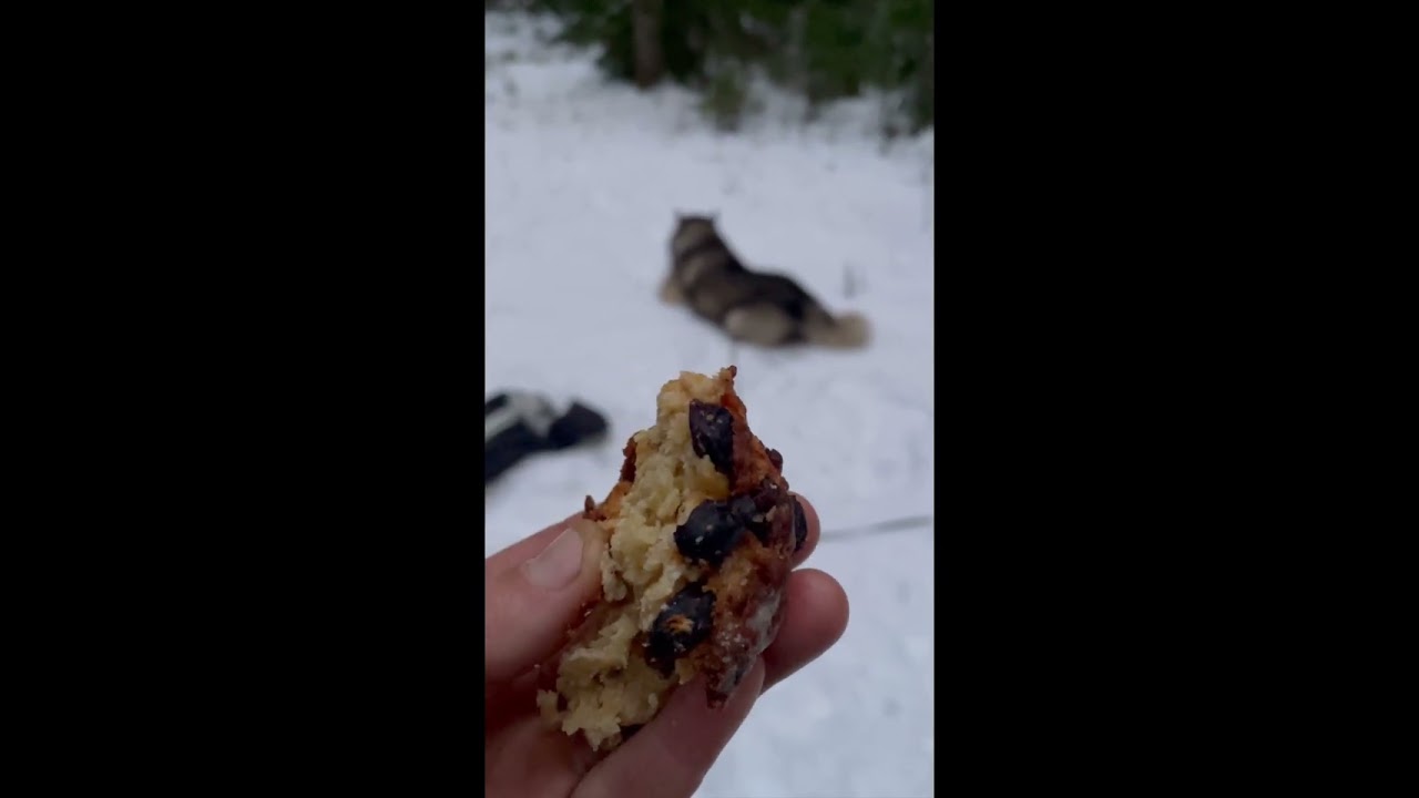 When nothing goes as planned 🫣