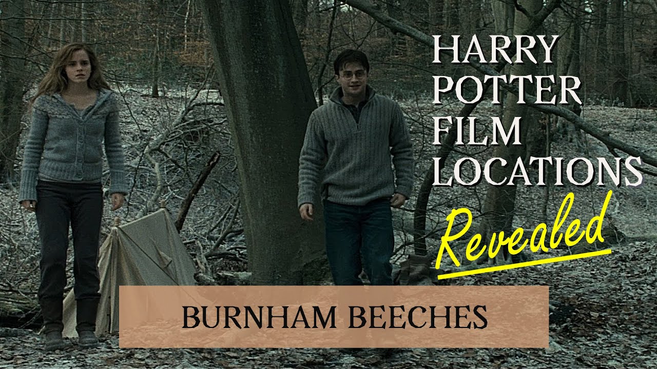 Harry Potter Film Locations Revealed Tour – Burnham Beeches, Bucks, scenic forest – Free entry