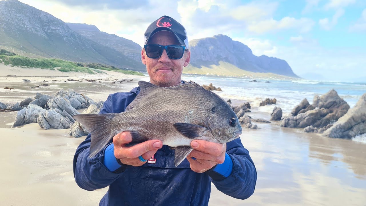 The Adrenalin Bluesurf 9000 and 4K Braid work well together for Catching Galjoen