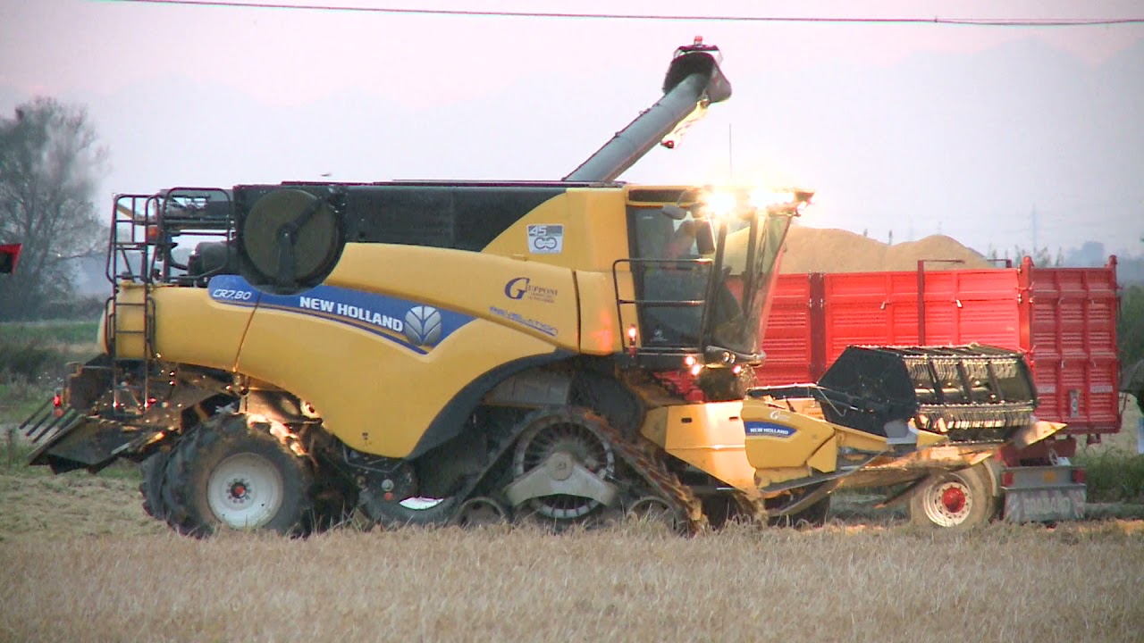 New Holland CR 7.80 piccolina e bella raccolta riso allettato