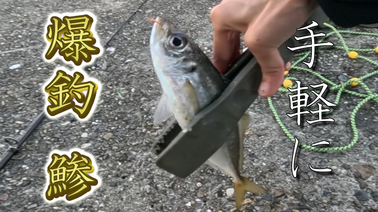 【サビキ釣り】　こんなに簡単　サビキ釣り　爆釣　鯵