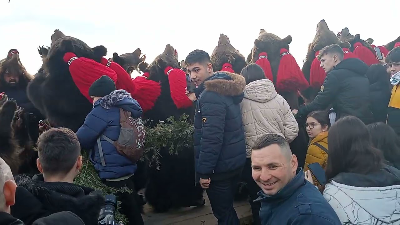 Ursu de la Șipoteni ,la Dărmănești 25.12.2022
