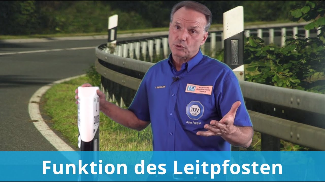 Funktion des Leitpfosten