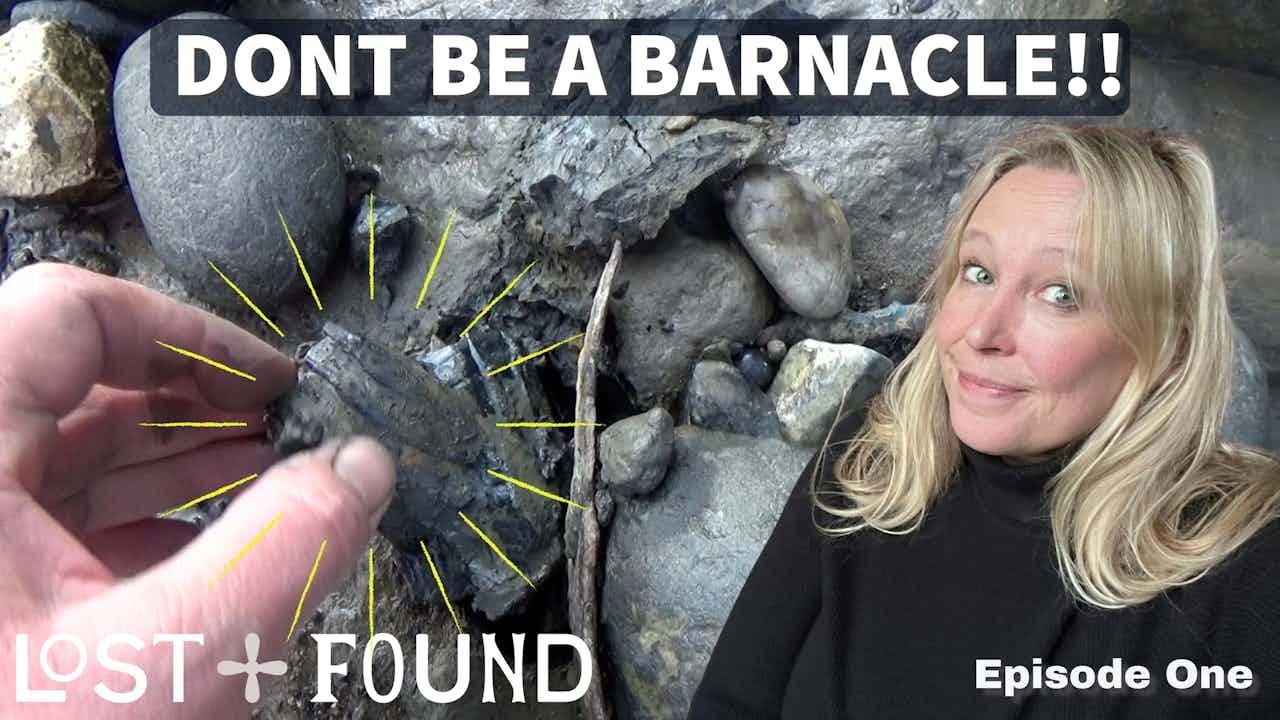 Everything You Didn't Know About Barnacles....Until Now!! Lost & Found with @ThamesFestivalTrust