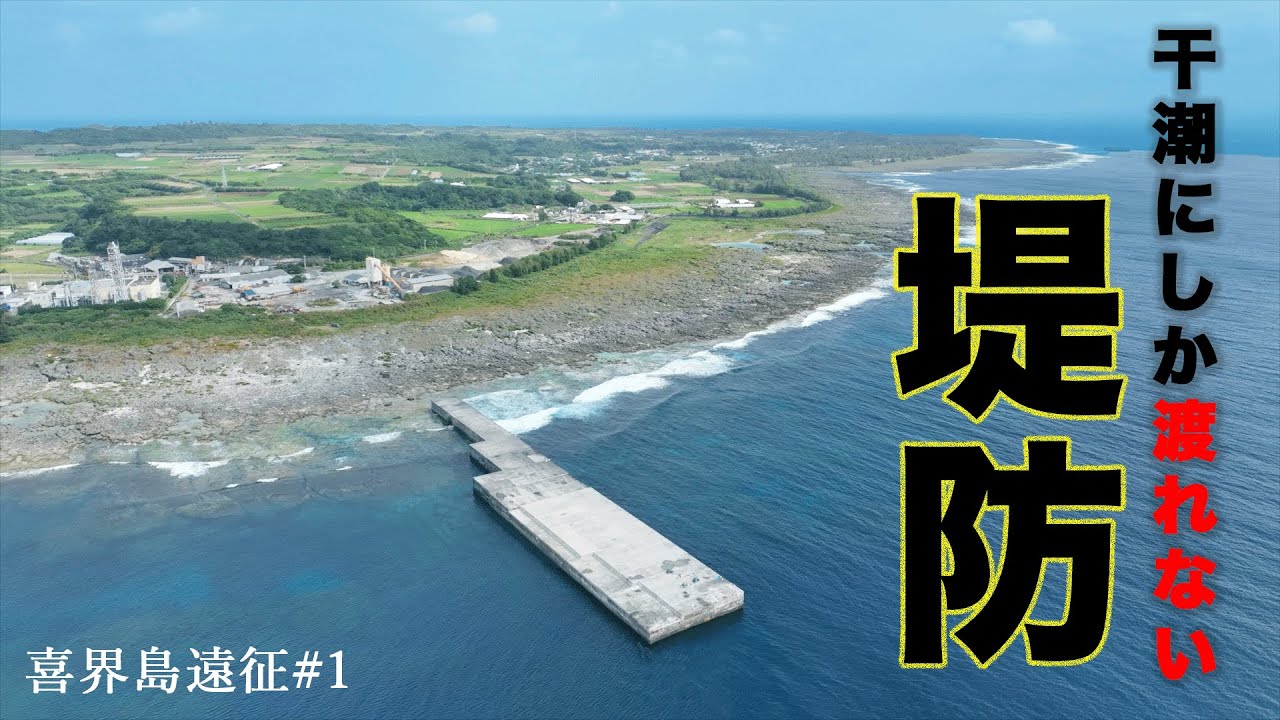 干潮にしか渡れないスーパー堤防で泳がせ釣り！【喜界島遠征#1】