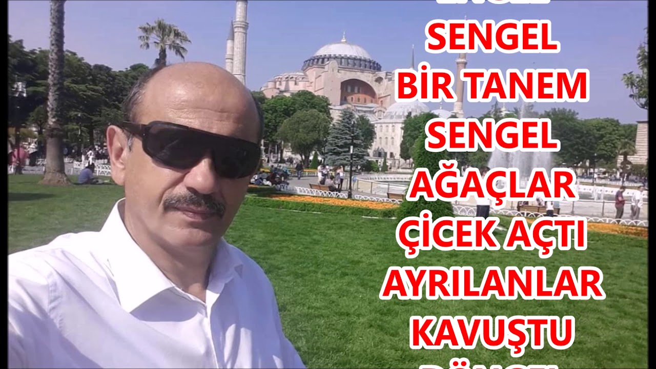 DÖNGEL BİR TANEM  DÖNGEL