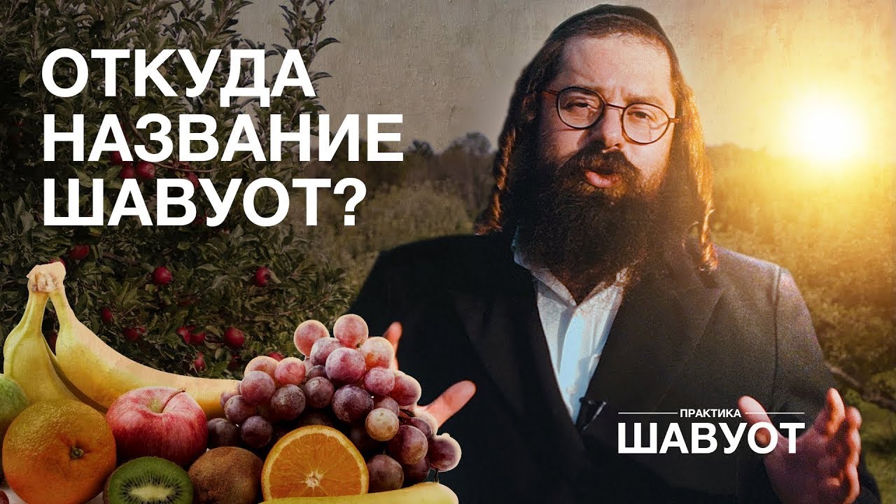 Что такое Шавуот и как праздновать Шавуот в 2023? Что едят? Тора как вино, масло, молоко и вода