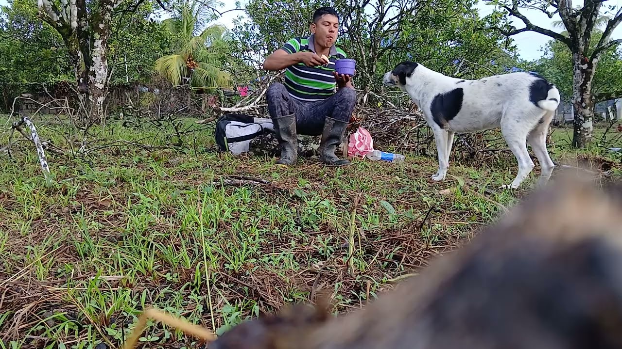 MARIO  Y CAPITAN  COMIENDO  EN EL TRAVAJO  
