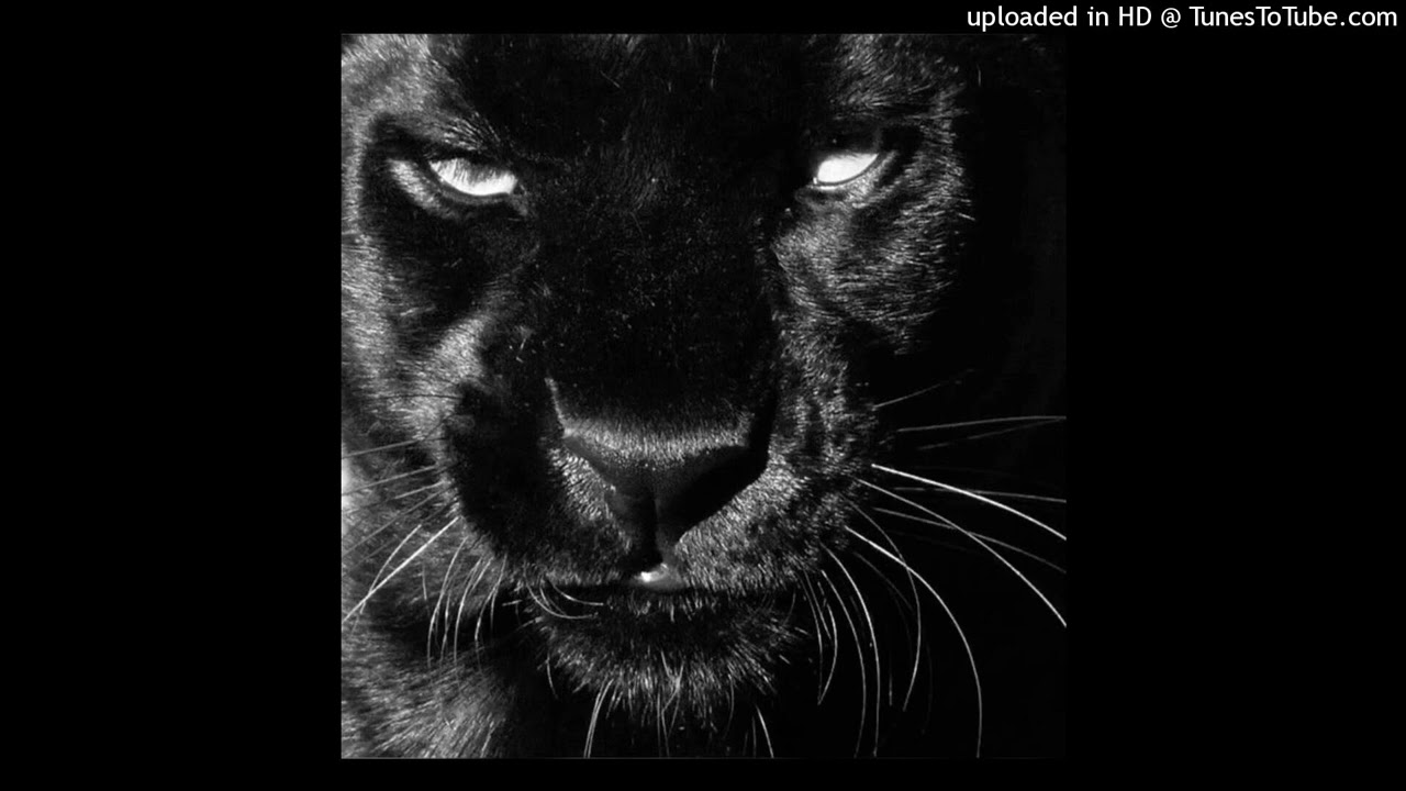 third time (feat. prodbygabrielsbeats_)