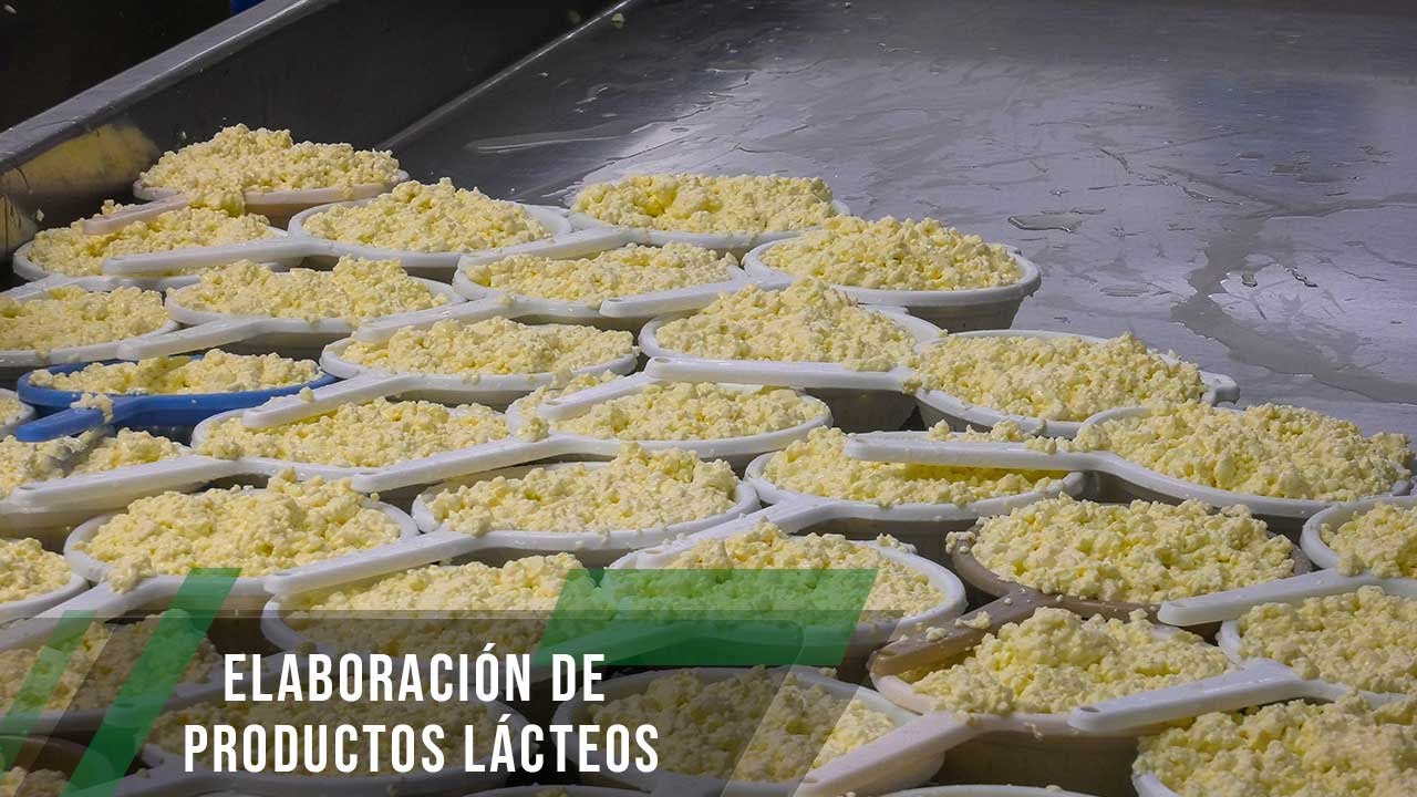 Elaboración de productos lácteos - TvAgro por Juan Gonzalo Angel Restrepo