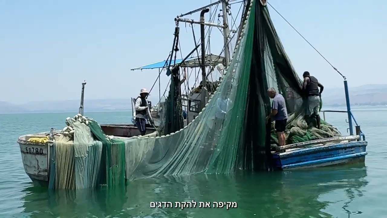 דגי כנרת - משק מלמד