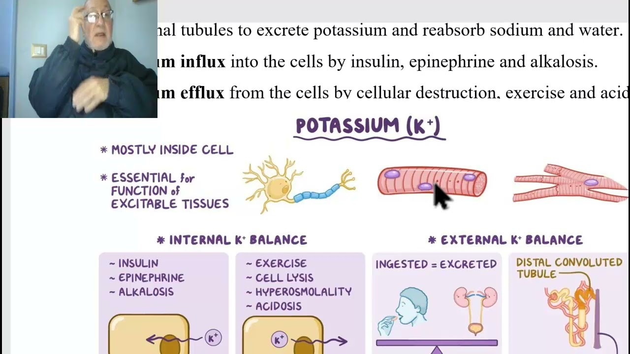 Fluid and electrolyte balance in Arabic  (Hypokalemia), by Dr. Wahdan.