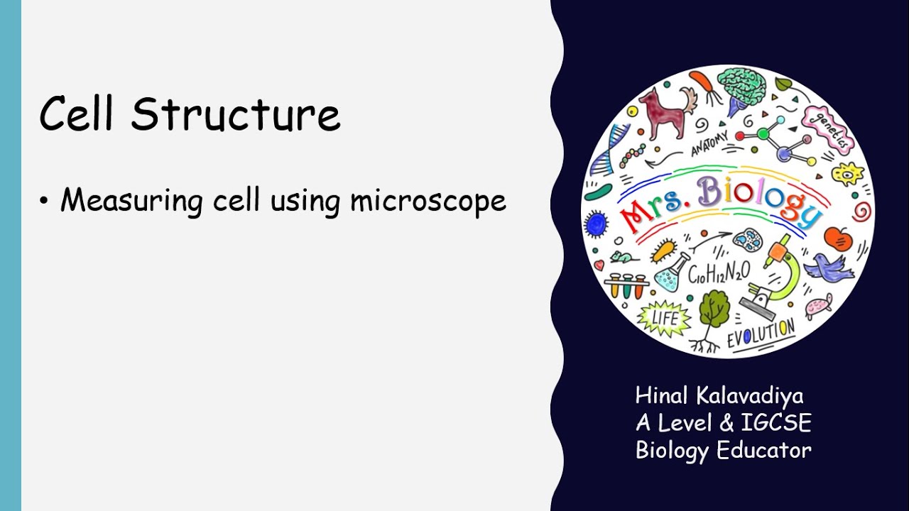 Measuring cells using microscope and Calibration