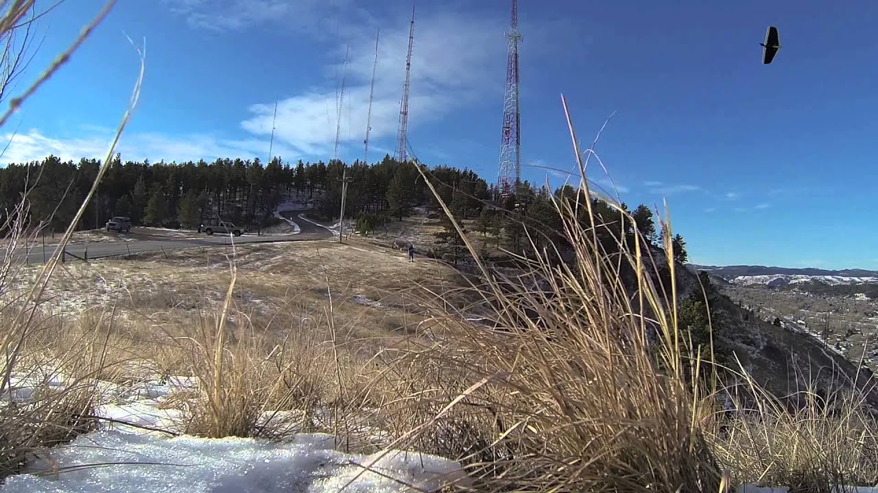 Morning Weasel Flight