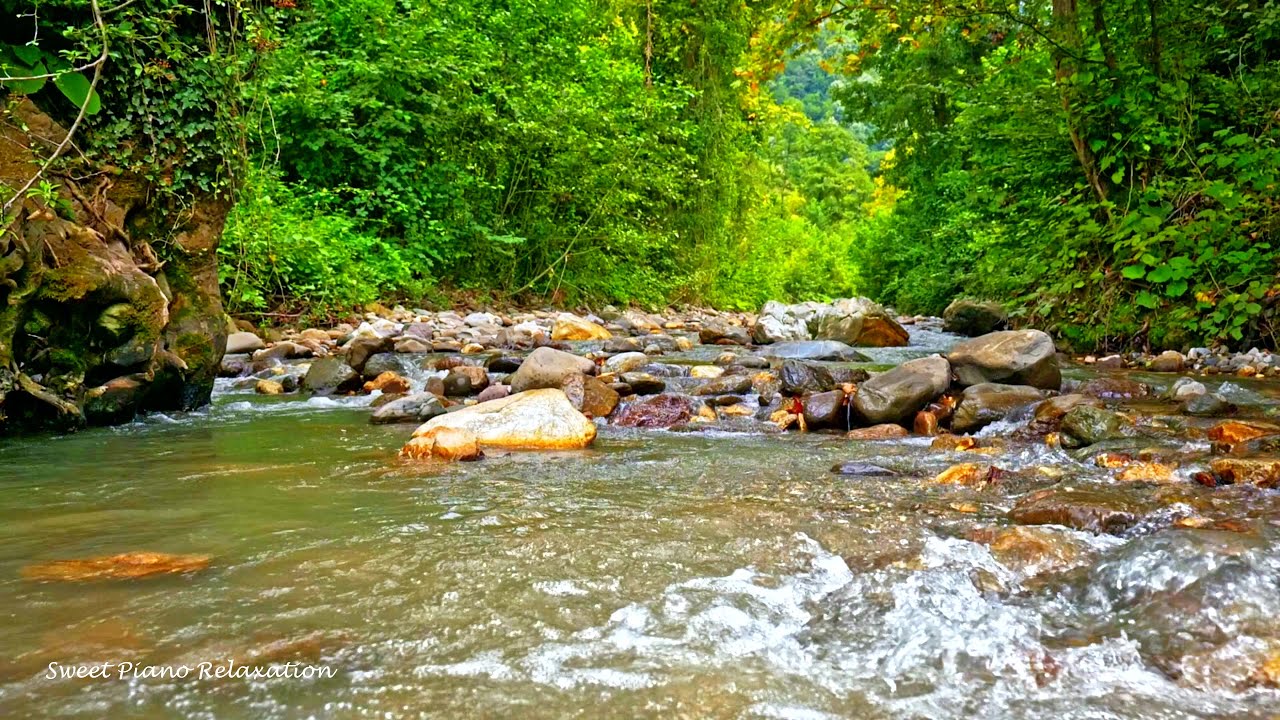 River Sounds Relaxing Music - Relaxing Piano, Forest Nature Sounds, Bird Songs and Water Sounds