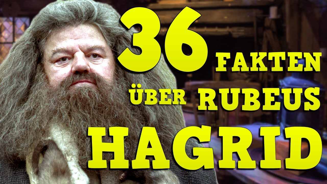 36 FAKTEN über RUBEUS HAGRID 🐾