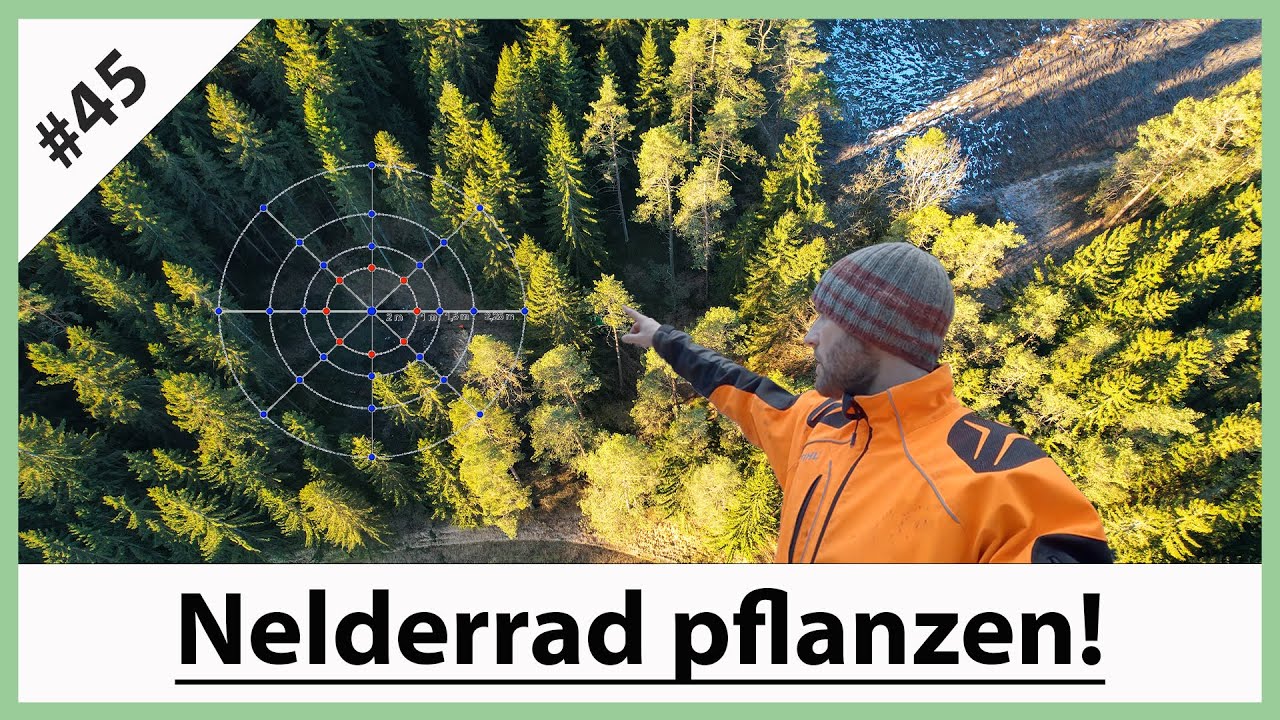 VLOG#45 : Nelderrad pflanzen - So gehts - Bäume im Kreis pflanzen