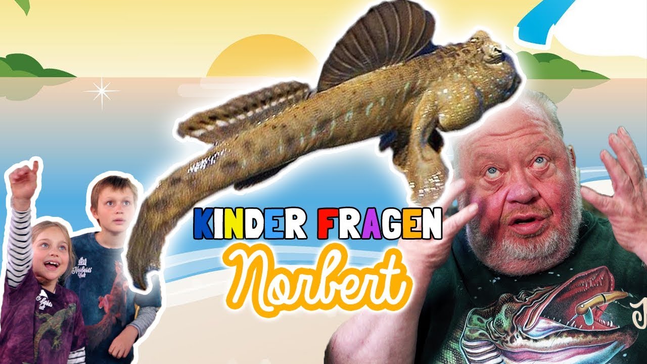 Kinder fragen Norbert I SCHLAMMSPRINGER I NORBERTS WELT | Zoo Zajac