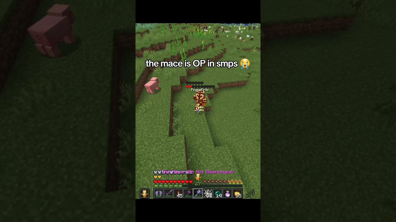 булава слишком сильна для майнкрафта 😭 #pvp #булава #кристалл #smp
