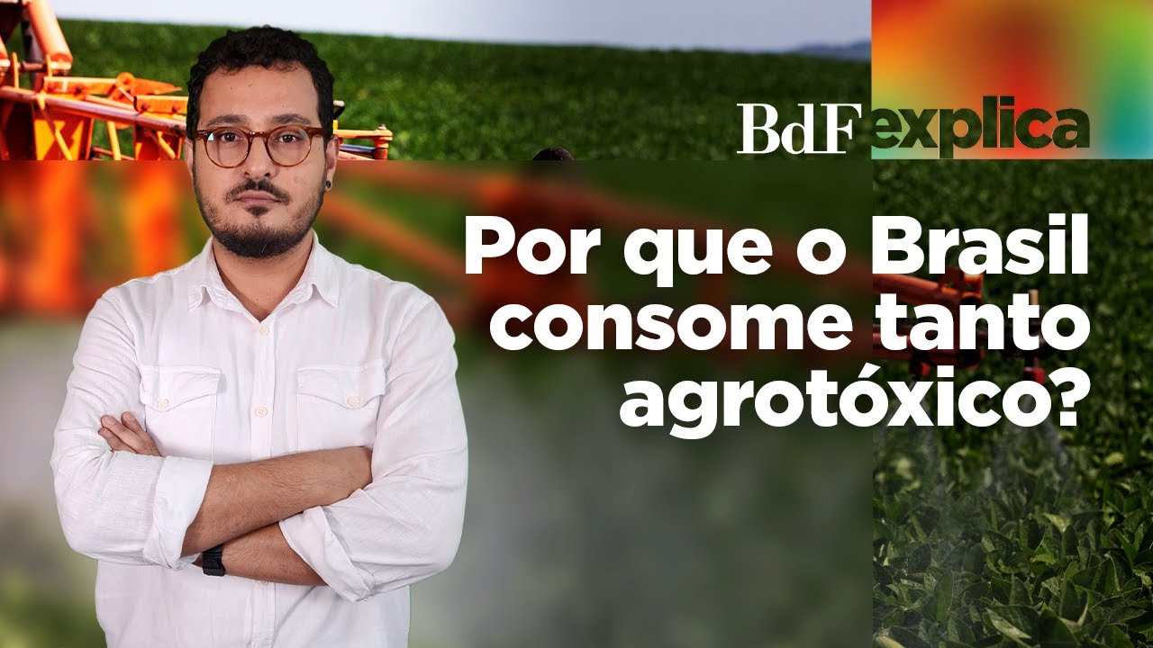 Por que somos o maior consumidor de agrot&oacute;xicos do mundo? | BdF Explica