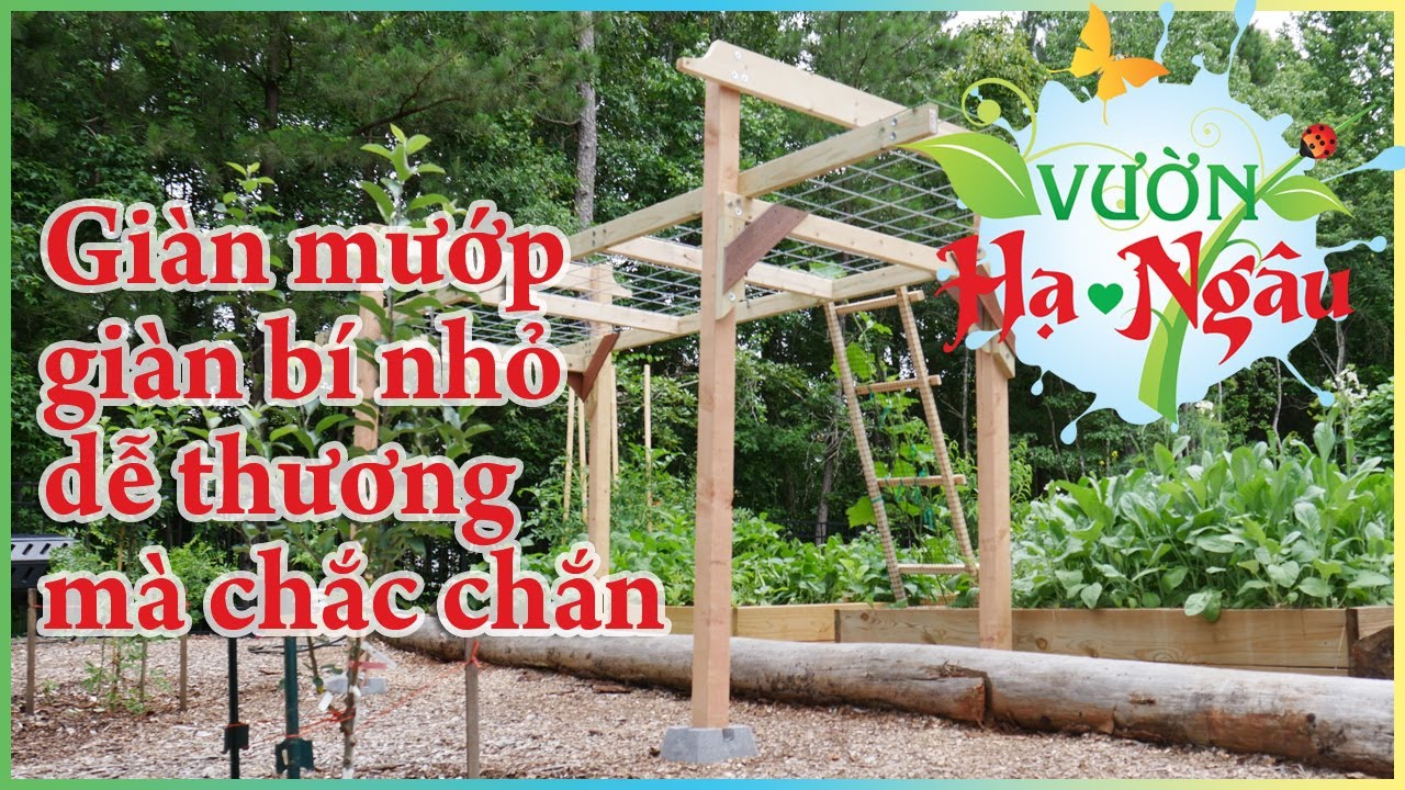 3 Làm giàn mướp / giàn bí / giàn bầu nhỏ, dễ thương mà chắc chắn.