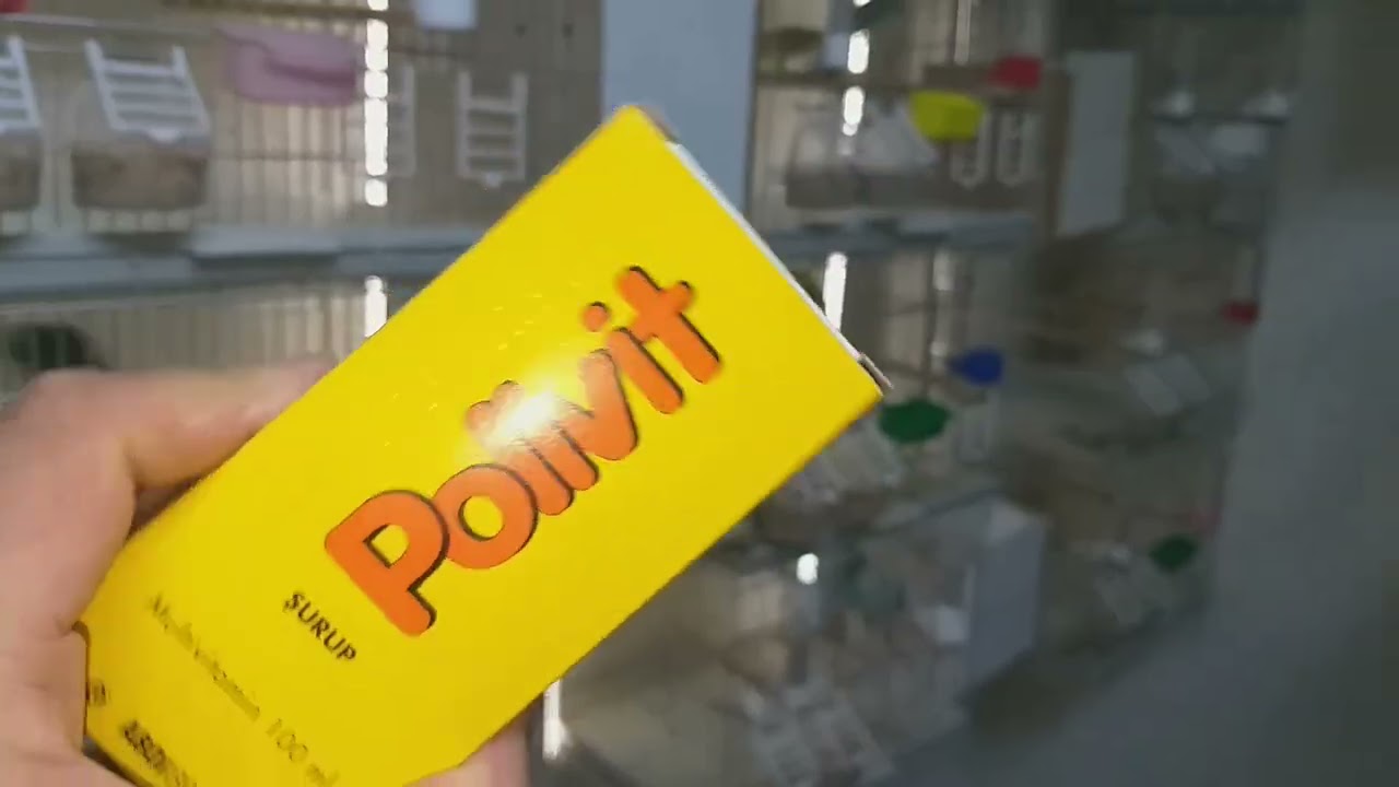 Muhabbet Kuşlarına Hangi Vitamini Kullanıyorum.