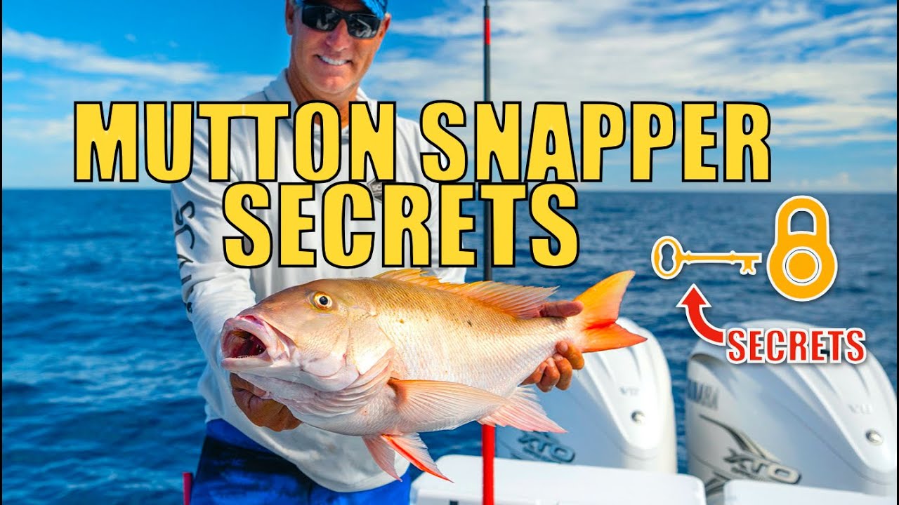Into The Blue: Mutton Snapper Secrets