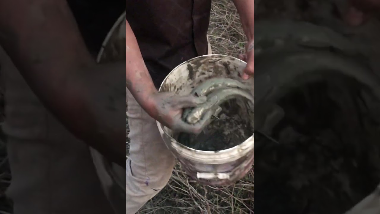 ..ចា…ប់ត្រីជា..មួយជាងរិទ្ធ🐋🐬🦈🐠🍀🎋🥀🌾🪴🌴