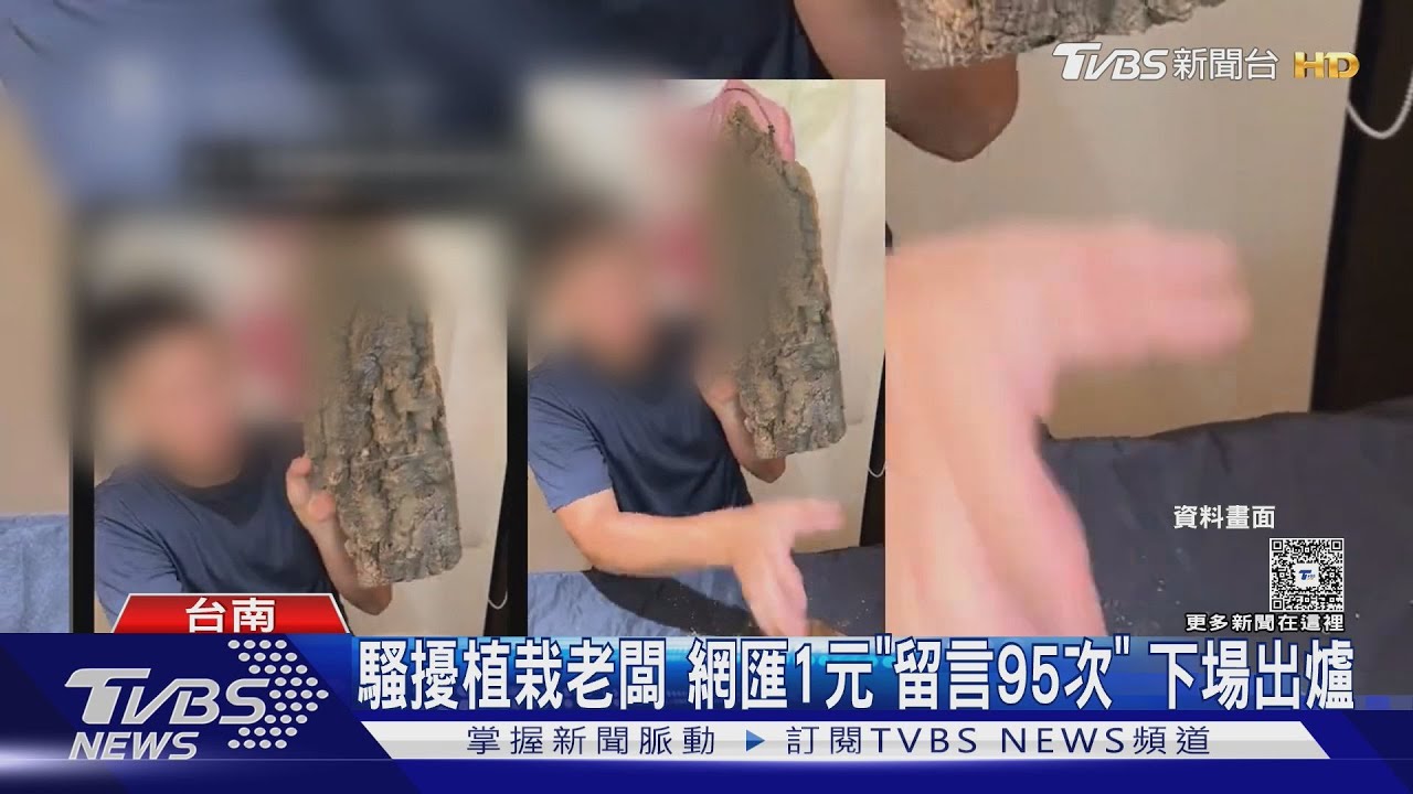 女粉絲騷擾植栽男老闆 網匯1元「留言95次」 下場出爐｜TVBS新聞 @TVBSNEWS01