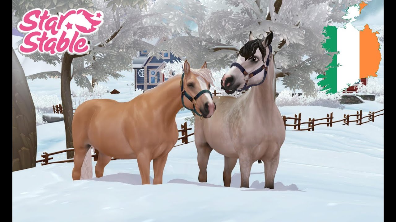 Das Connemara Pony 🐎 (Star Stable Rassenvorstellung)