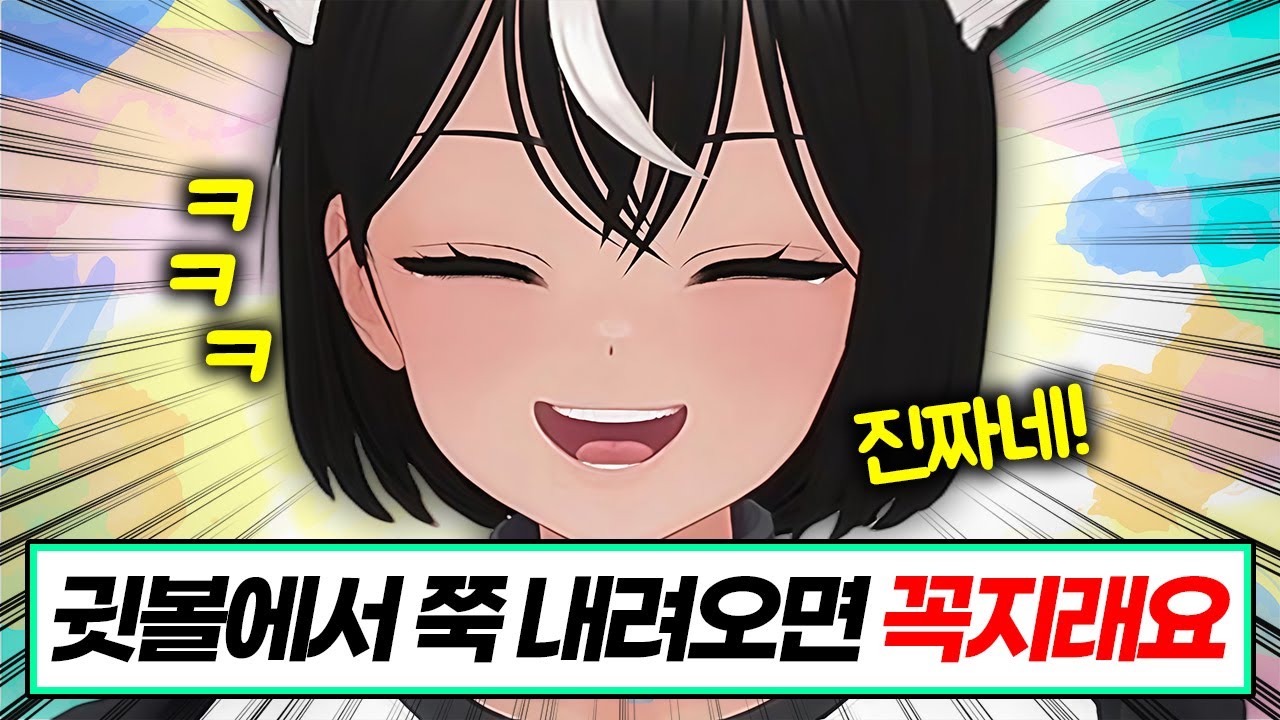 [독케익] 정말 알고 싶었던 정보 대방출