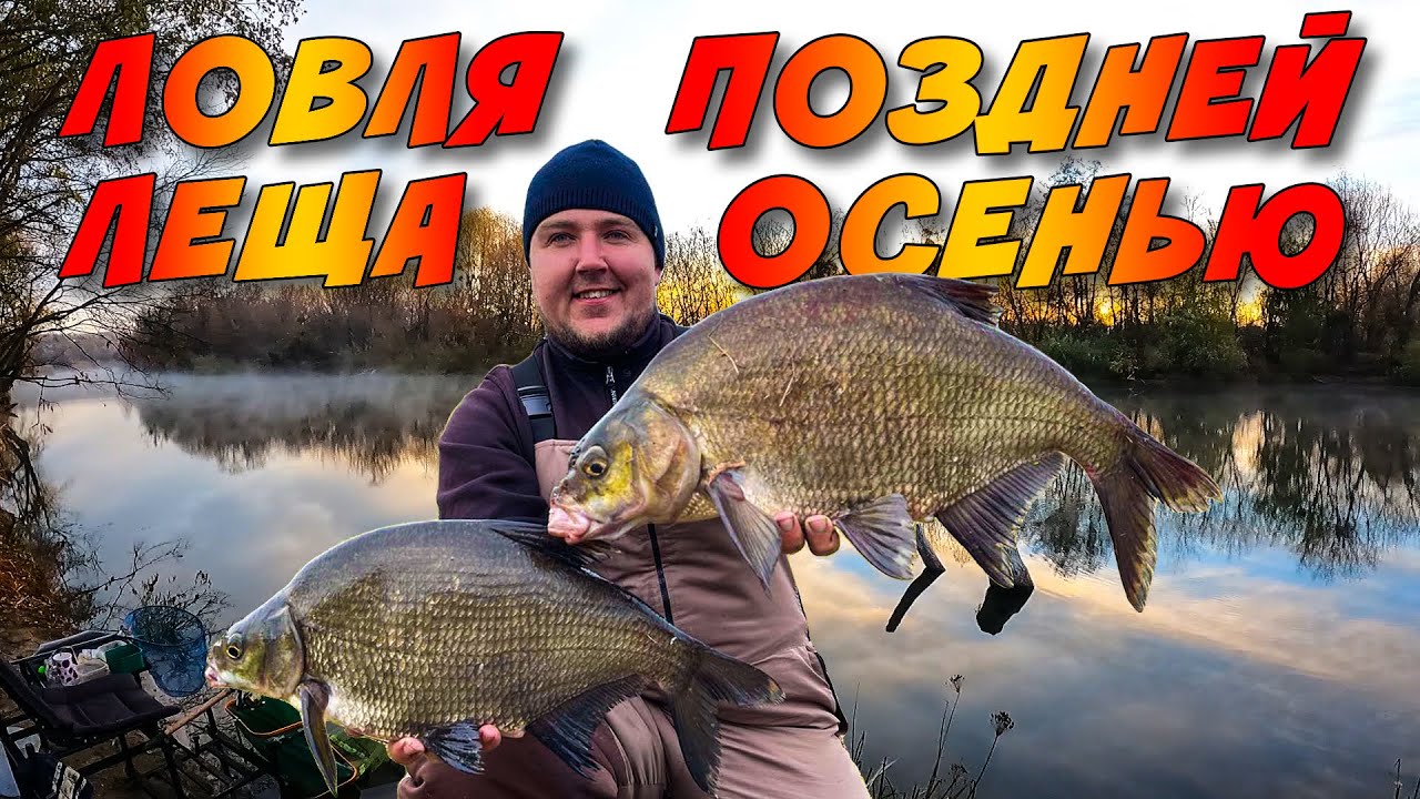 ПЕРВЫЙ ЛЁД НА РЕКЕ! Ловля ТРОФЕЙНОГО Леща поздней Осенью на фидер!