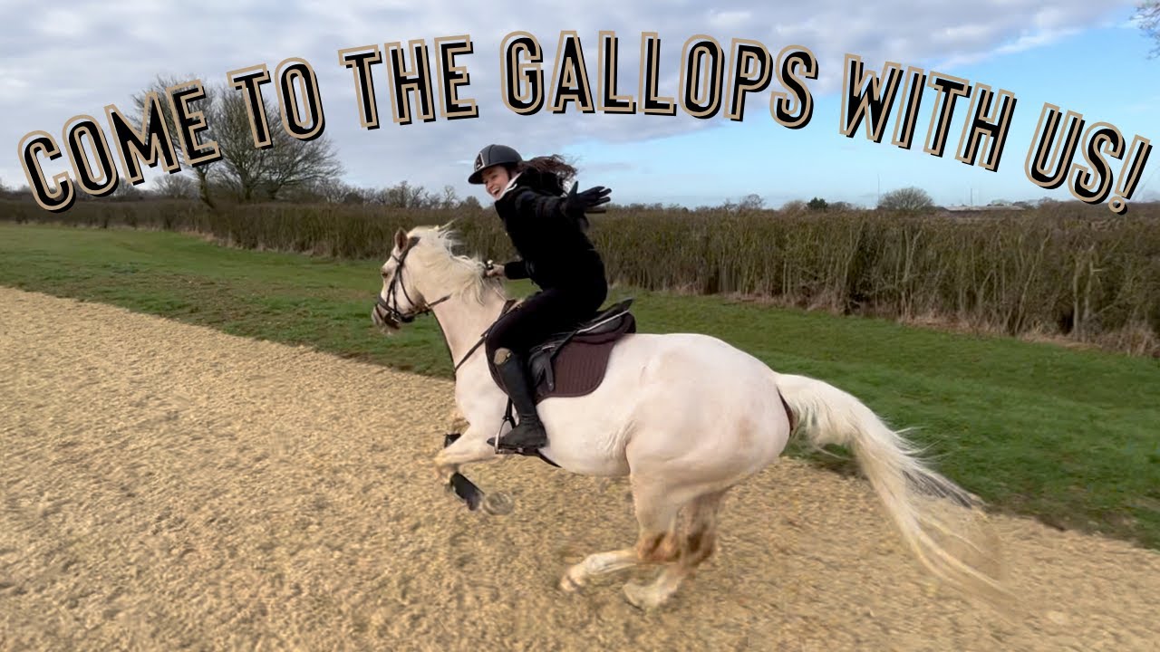 OUR FIRST TIME AT THE GALLOPS! SO MUCH FUN