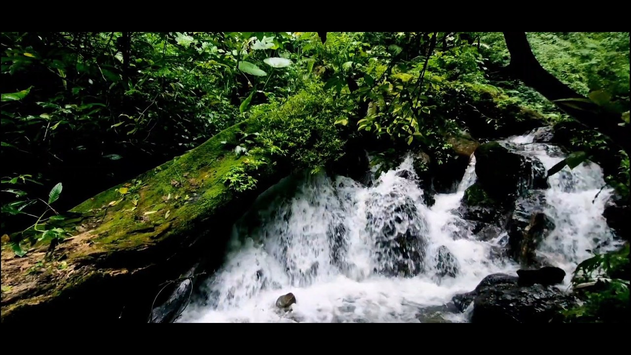 Deep Sleep River Sounds 🌊 Continuous Flowing Water (10 Hours)