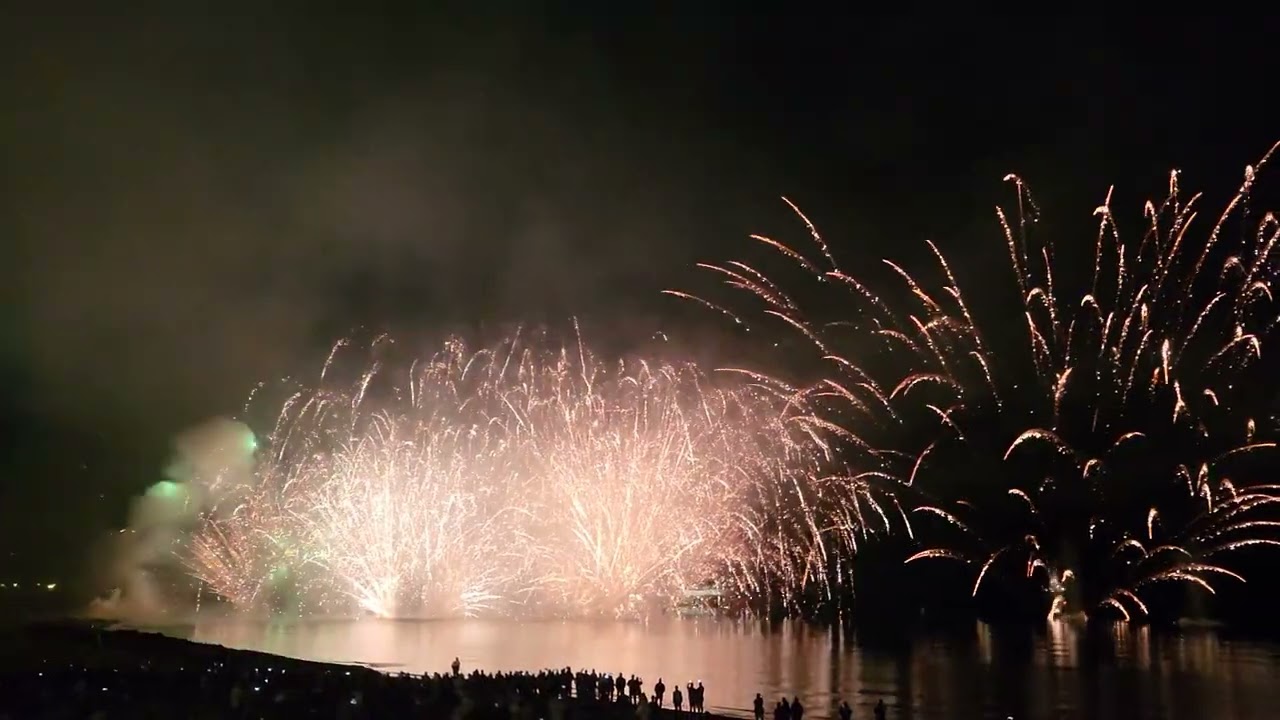Benidorm fiesta november 2023 #fireworks #firework #reels