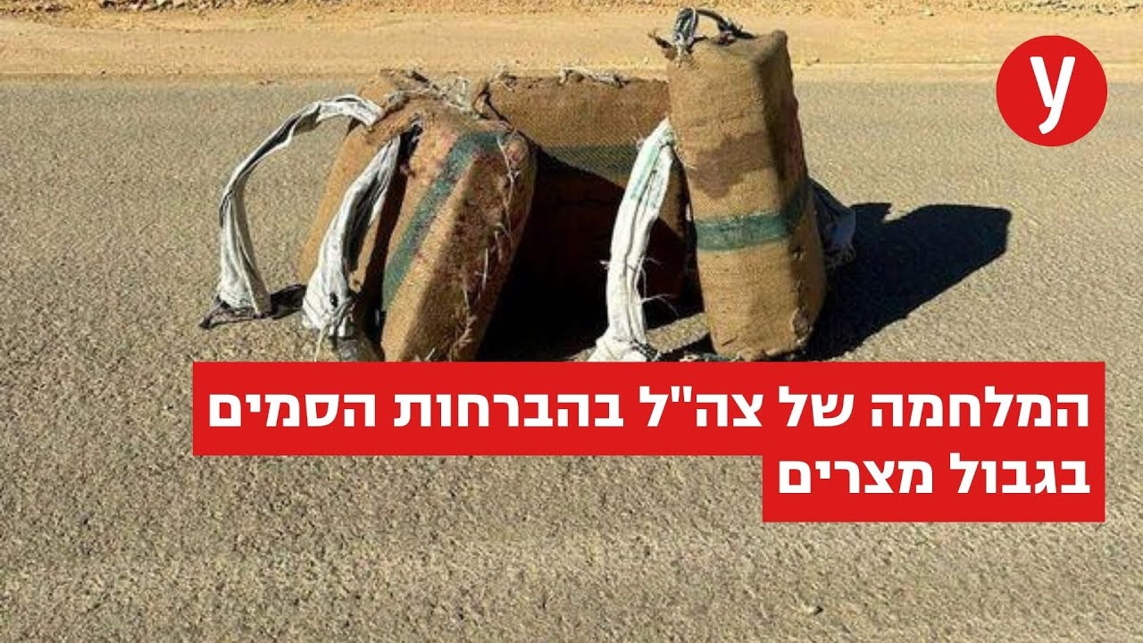 המלחמה של צה