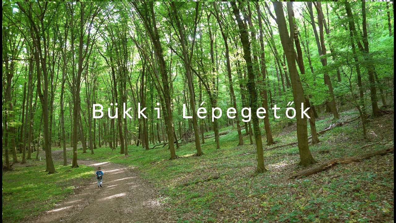 Bükki Lépegetők S01E01 Komlóstető - Tapolca