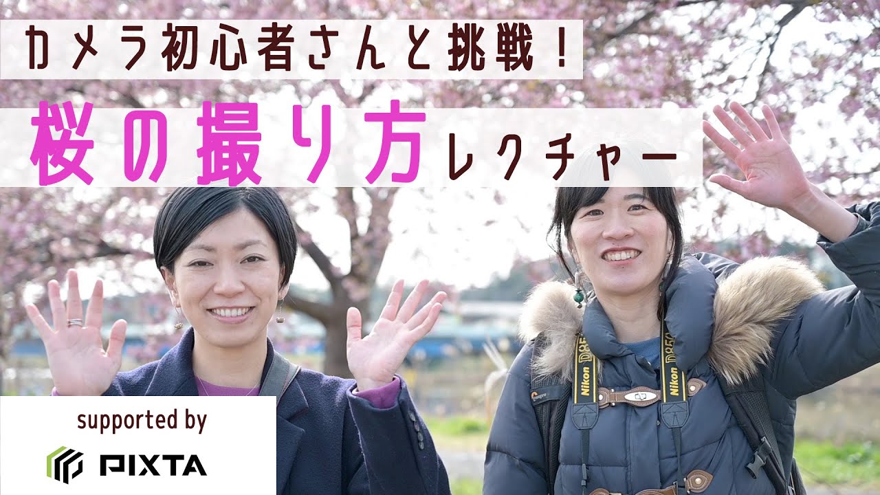 【PIXTAコラボ】桜を撮ってみよう！初心者向け風景撮影のコツ！ストックフォト的なポイントとは？