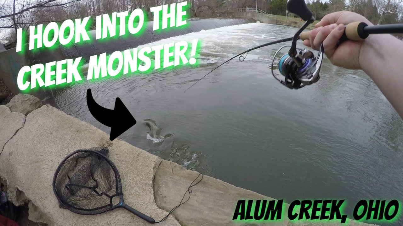 I catch the CREEK MONSTER in Alum Creek! (Ohio) (Keitech Swimbait)