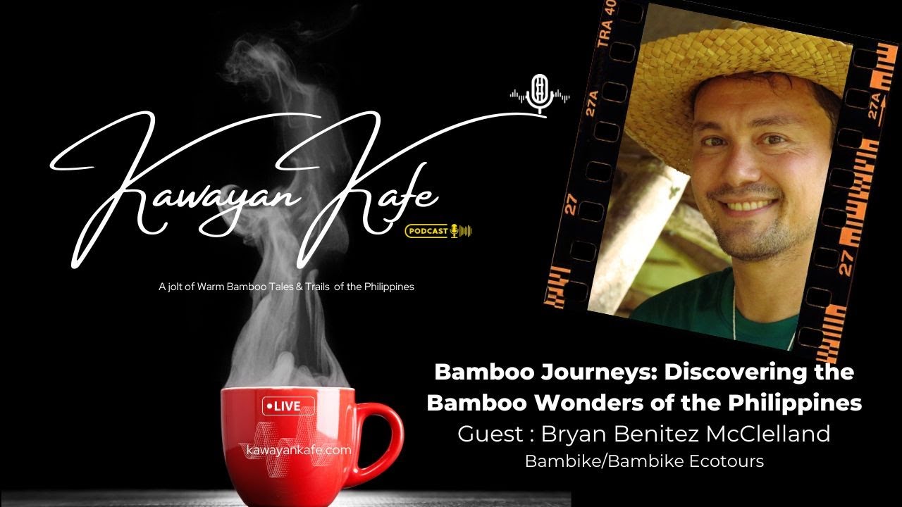 Bamboo Journeys: Discovering the Bamboo Wonders of the Philippines