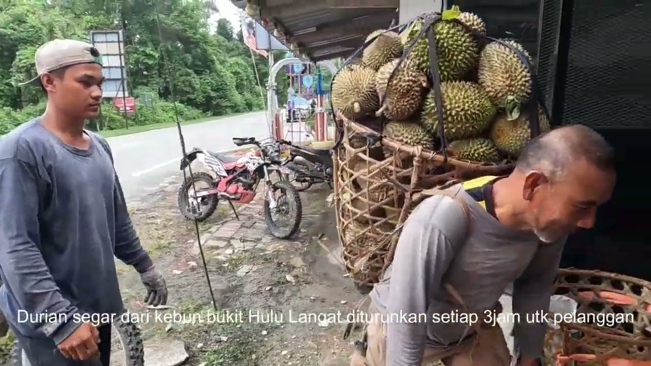 Kenali Durian Hulu Langat Asli.