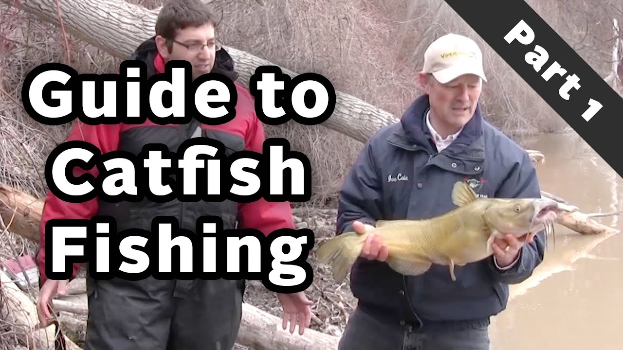 Catching Catfish Special Series - Guide to Catching Catfish - Part 1 of 3