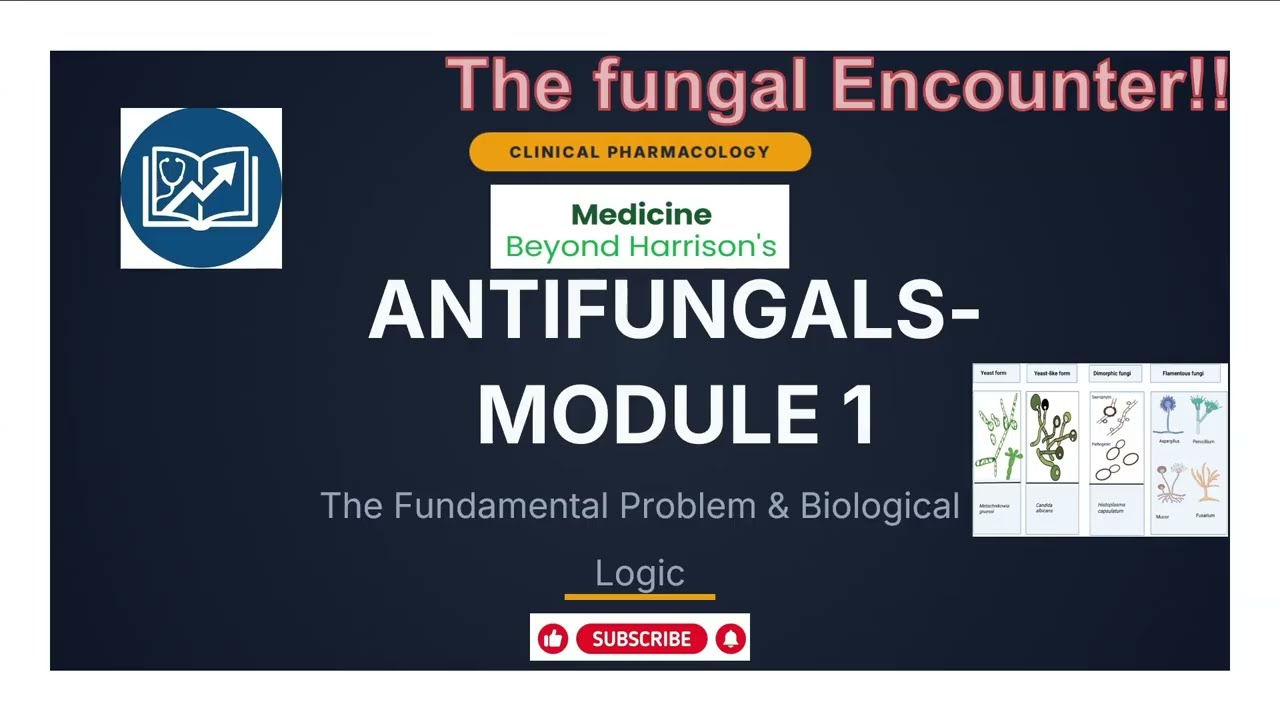 Antifungals - Module 1 - The Basics First: Logical Overview (NEET PG, NEET SS, MRCP,  Physicians)
