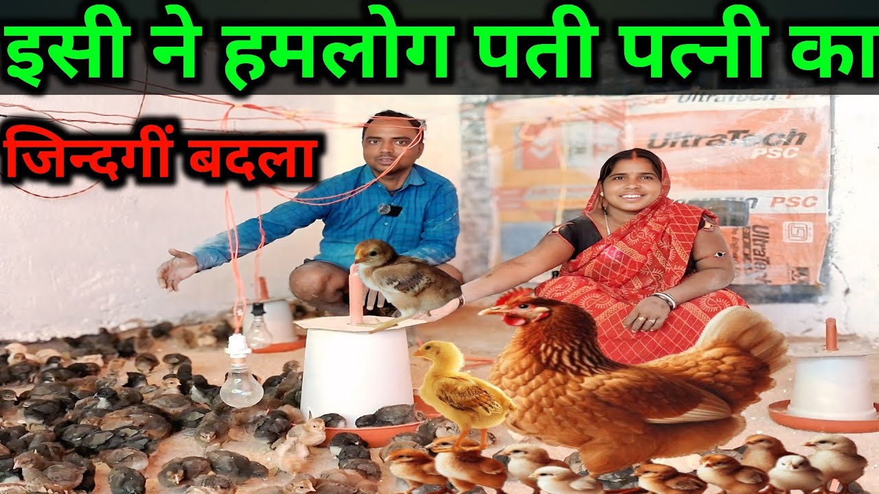 इसी ने हमलोग पती पत्नी की जीन्दगी बदला#minaparajapatiofficial#sonalimurgifarmingvideo#vlogsvideo#
