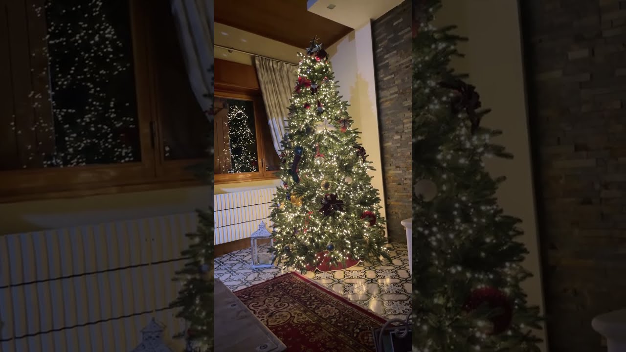 It’s Christmas All Year! 🎄😍