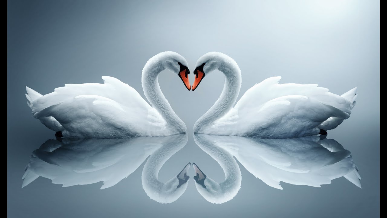 🔥🔥TWIN FLAME THIS IS YOUR TRUE TWIN FLAME LOVE ❤️❤️YOU ARE MIGRATING TOGETHER IN COMPLETE UNITY